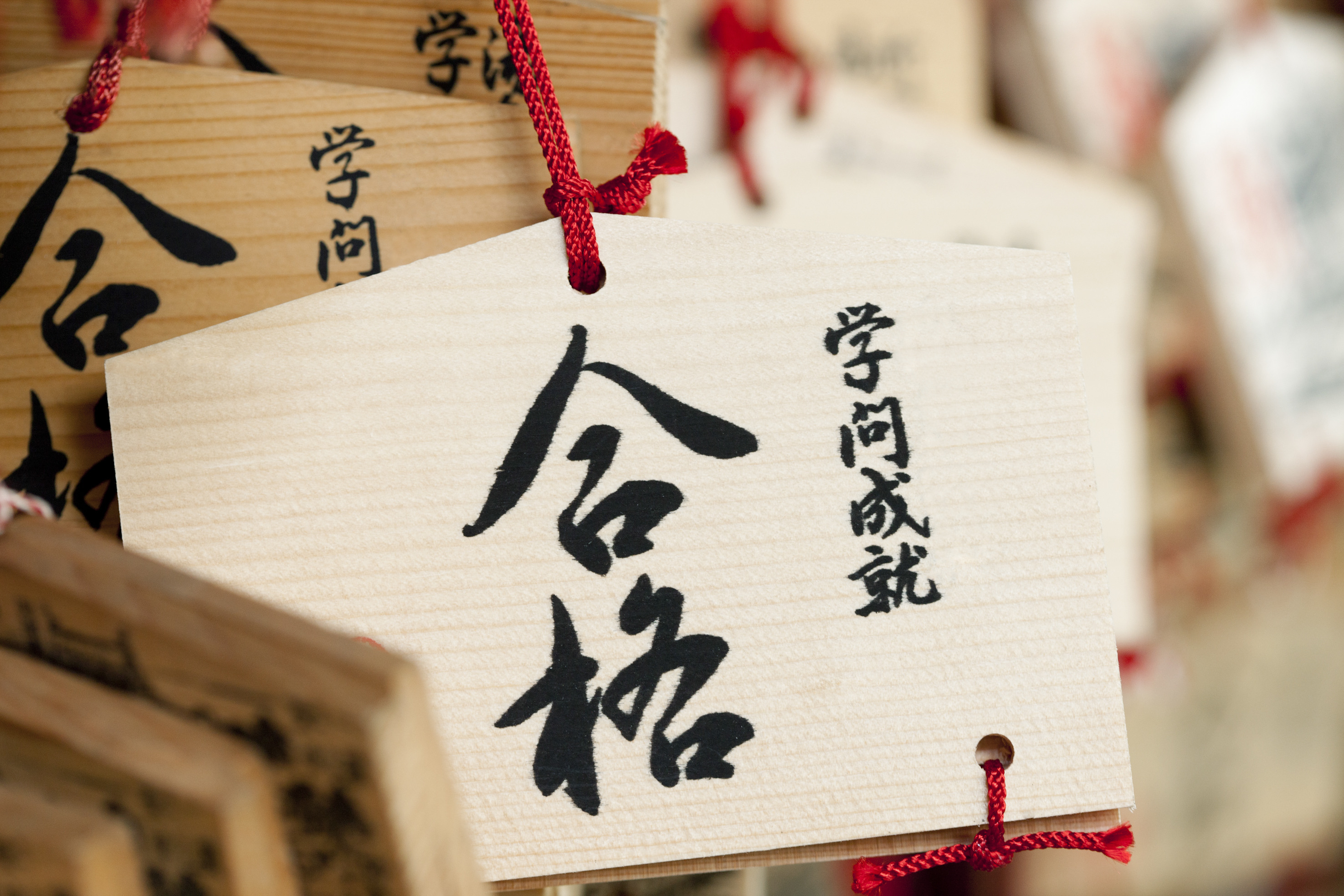 【高校生】難関大学受験という高い壁を突破！圧倒的な学力を養成しますの写真